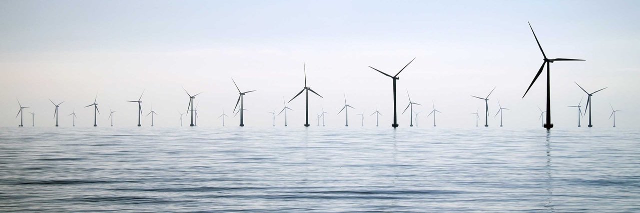 Josh Willison banner