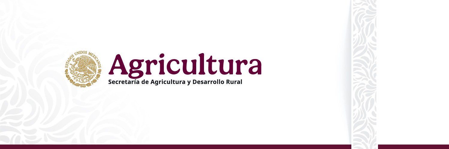 Carlos Berlín Montero's banner
