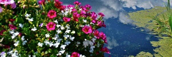 MbassiStephan's profile banner image