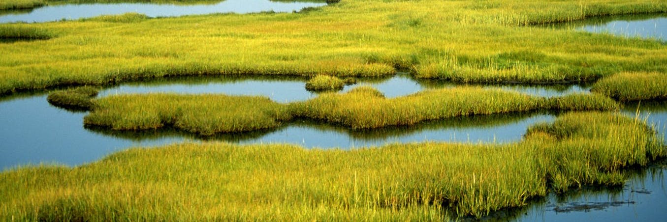 JHU Environmental Sciences & Policy banner