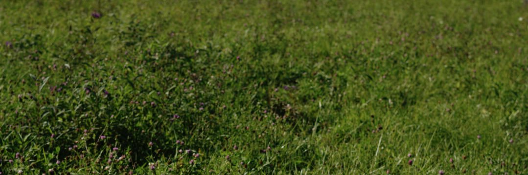 sydney_mox's profile banner image