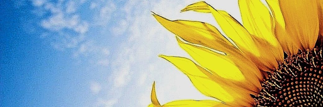 dragonnngirl's profile banner image