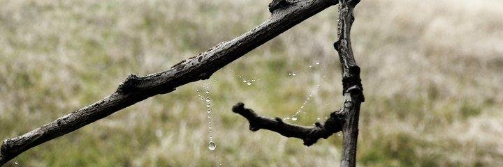 PauGu_98's profile banner image