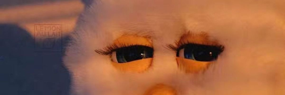 Meg ✨️🎈🏒👑 banner