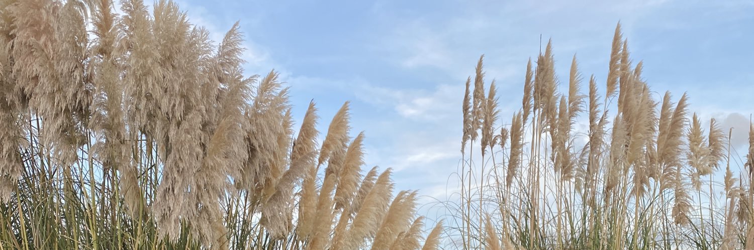 iiKellyK's profile banner image