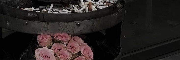 amy banner