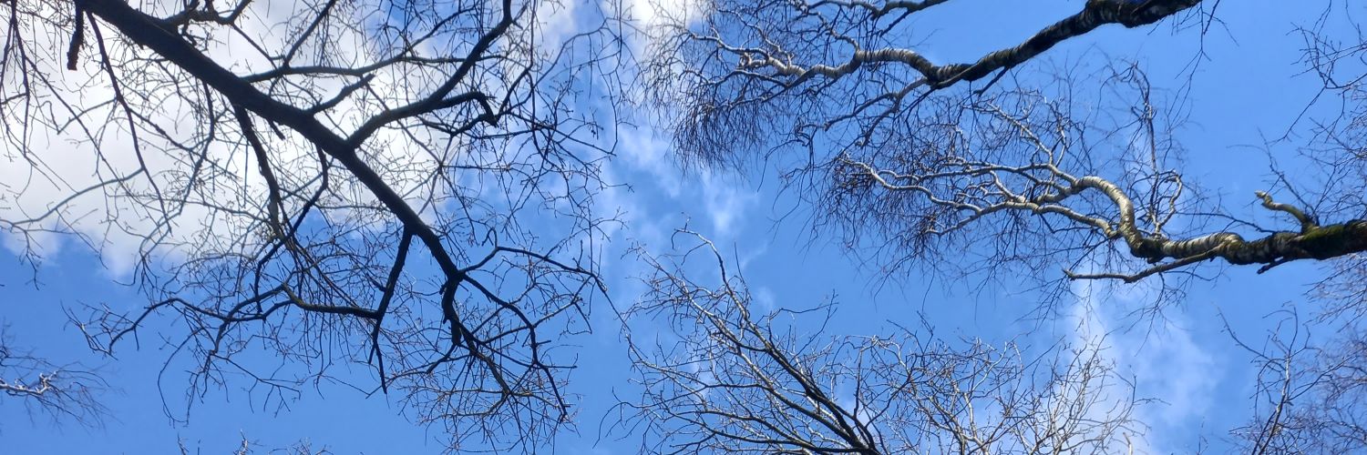 Perm #GTTO #NHS #FBPE banner