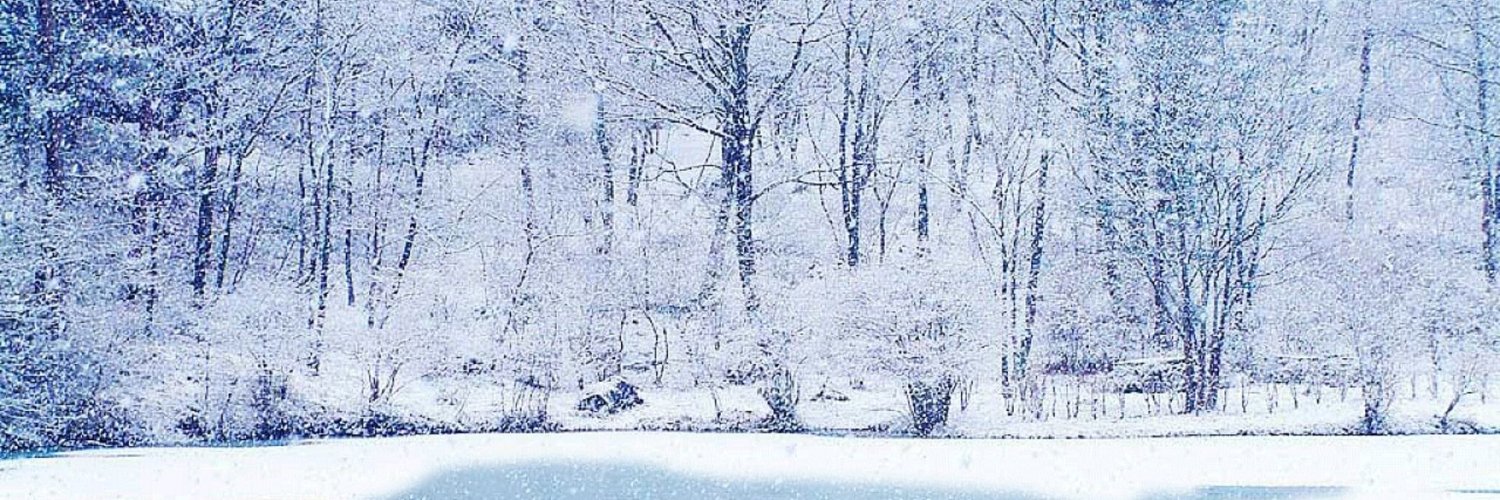MaybeItsCrab's profile banner image