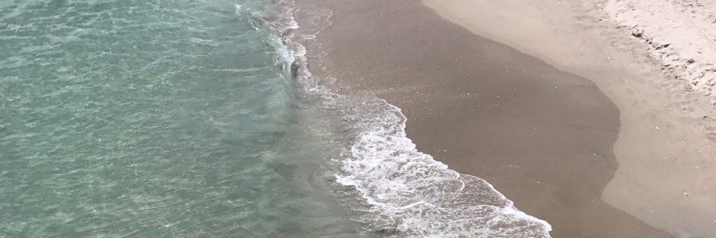 MeghanCollar's profile banner image