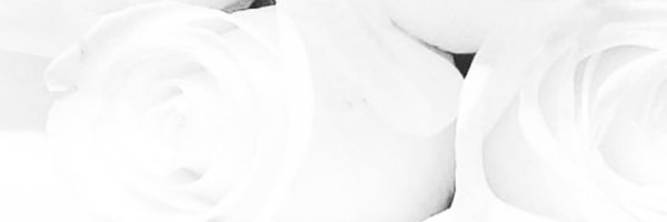 Auroref__ Profile Banner