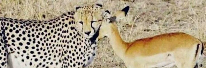 Wilbard_JC's profile banner image