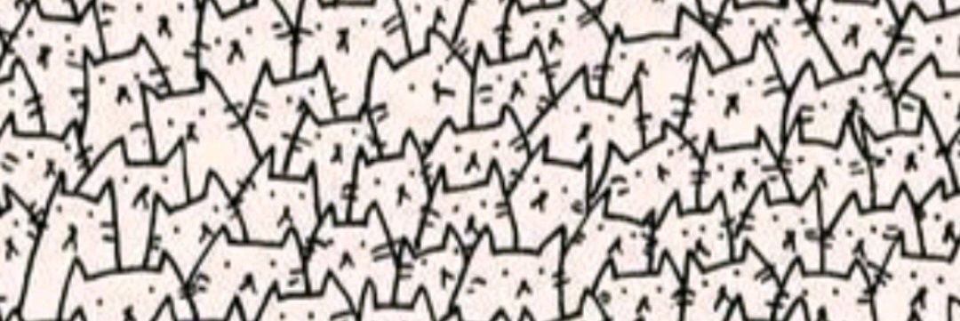becausewhhynot's profile banner image