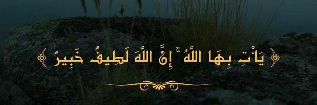 د. عفيف بن محمد banner