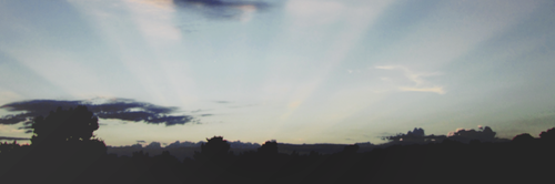 lelets banner
