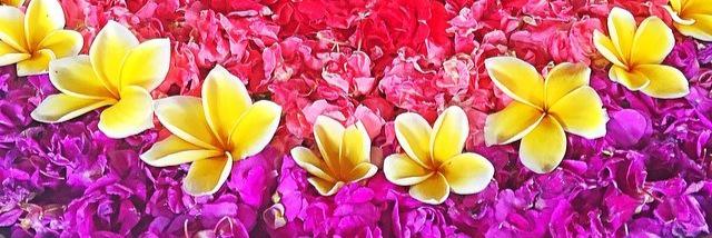 annisathaib22's profile banner image