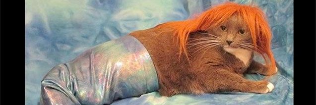 Kyubiko707's profile banner image