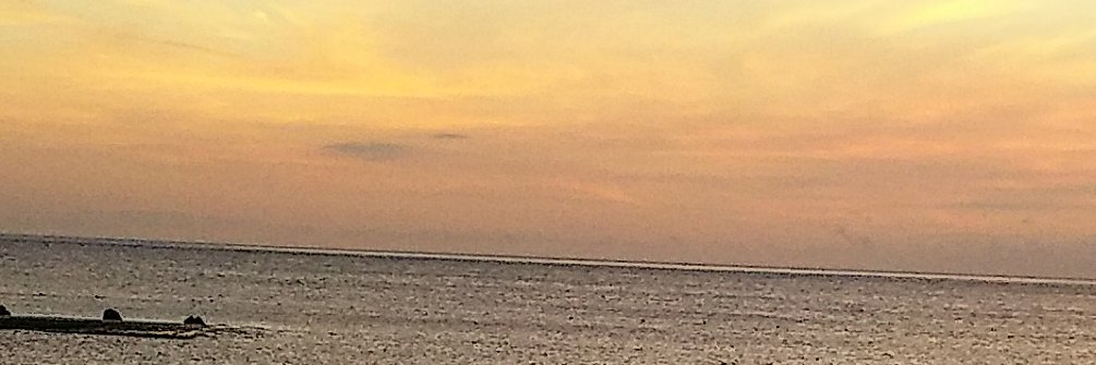 べっち 🎼 banner