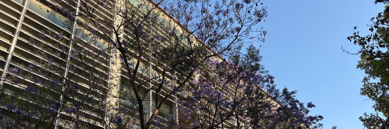 Biblio Vasconcelos banner