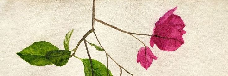गुलमोहर banner