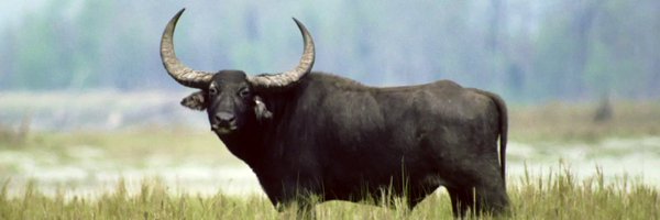 eyrahul Profile Banner