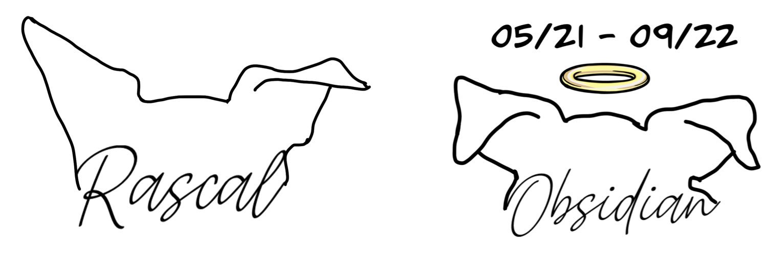 ninjaKV07's profile banner image