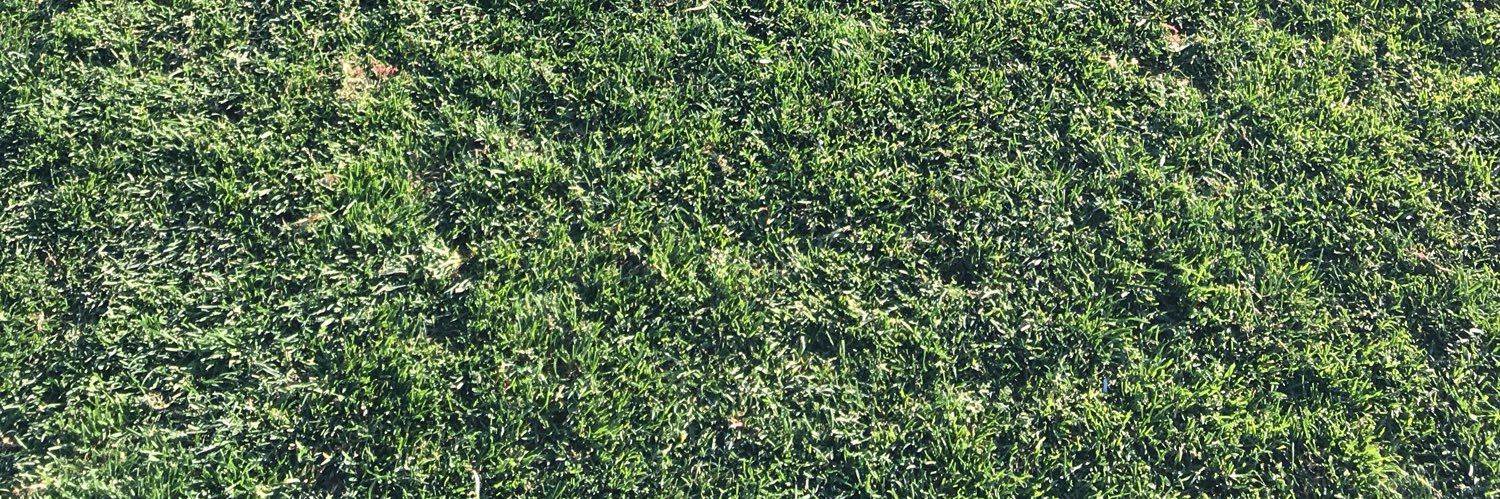 Wayne Schultz banner