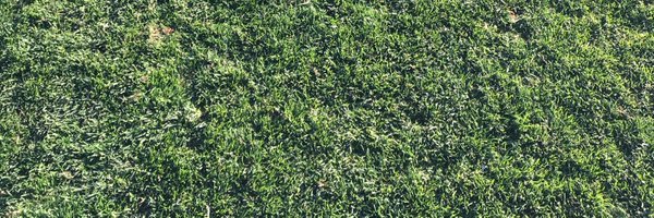 WSchultz44 Profile Banner