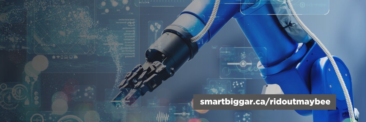 Ridout & Maybee LLP banner