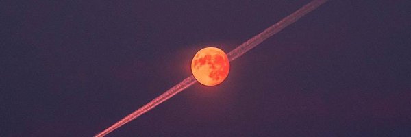 _RingDonut Profile Banner