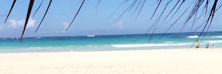 Jess banner