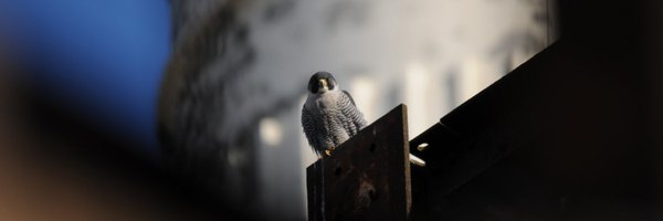 DaveMo57 Profile Banner