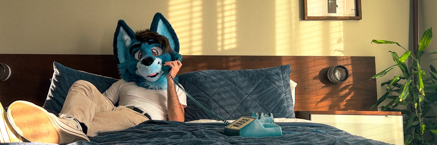 Felix Fox banner