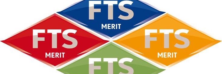 FTSMerit banner