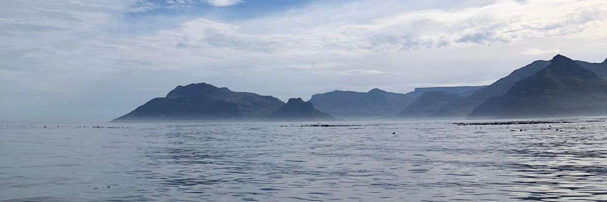 CathyStadler2's profile banner image