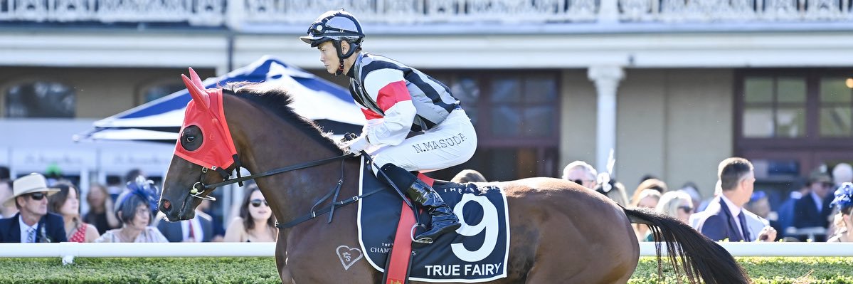 Daiki Chujo (中條 大輝) banner