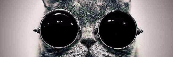 timmybosch's profile banner image
