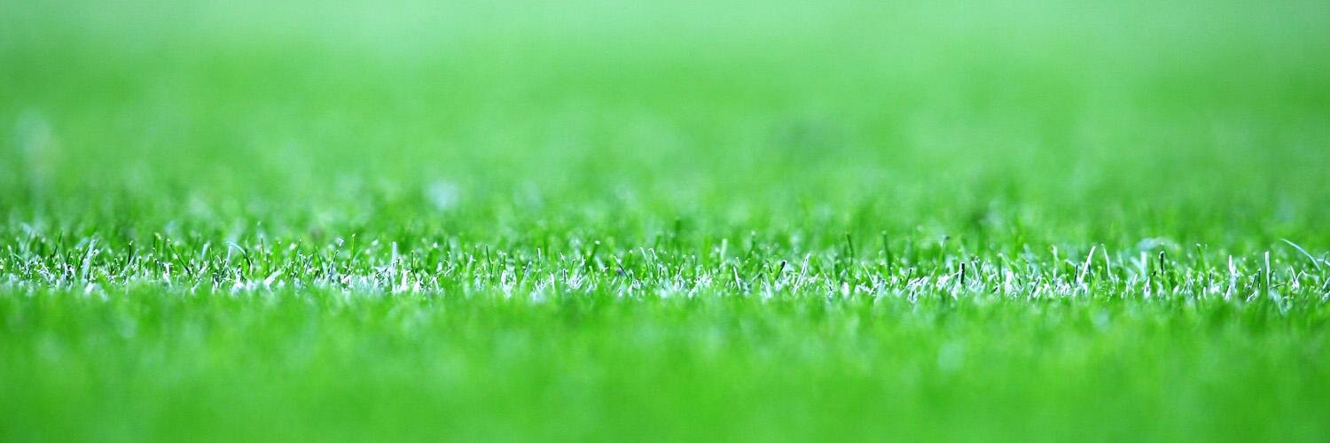 Roberpucela's profile banner image