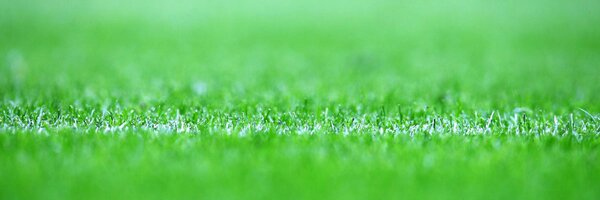 Roberpucela Profile Banner