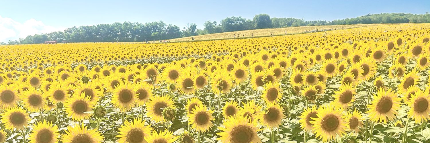 l_quq115's profile banner image