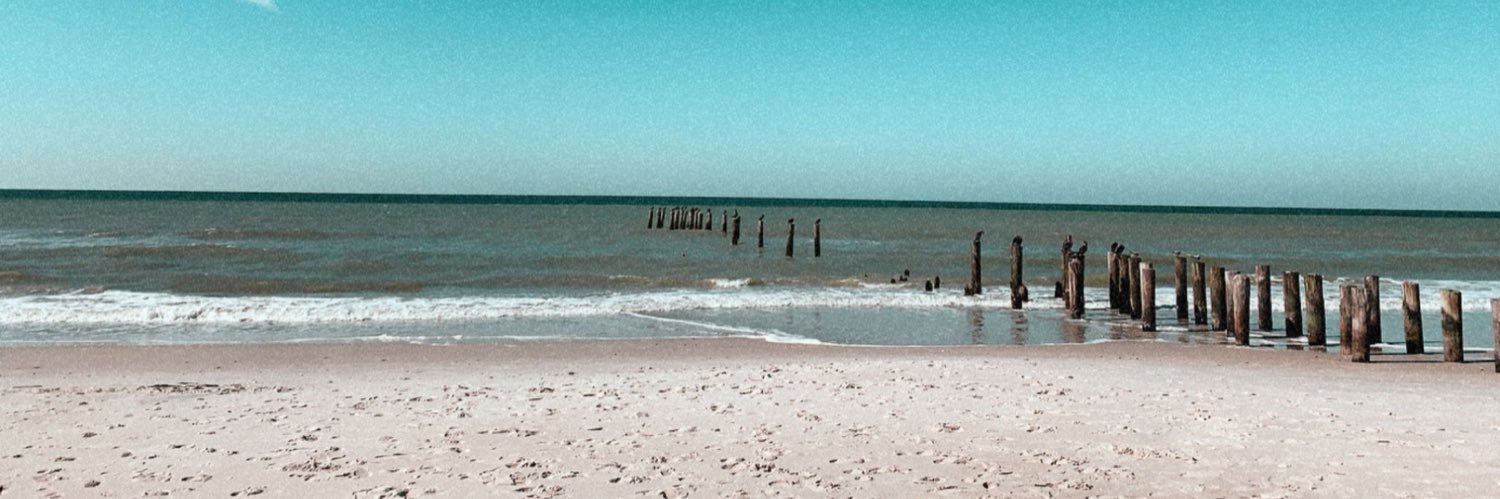 alysstomassetti's profile banner image