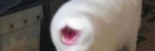 YdPriRfPQIrZG3C Profile Banner