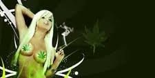lilbree420's profile banner image