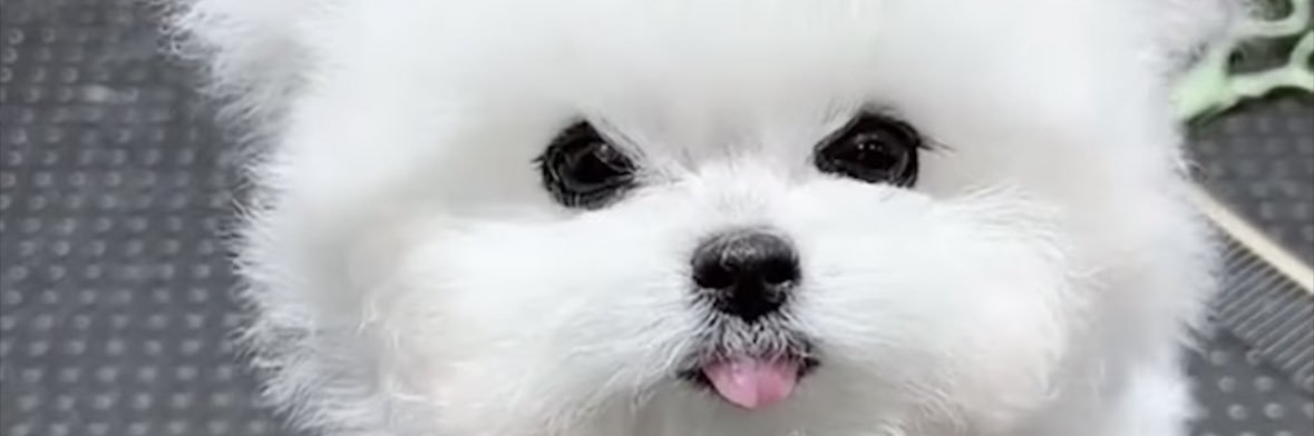 sonofel24's profile banner image