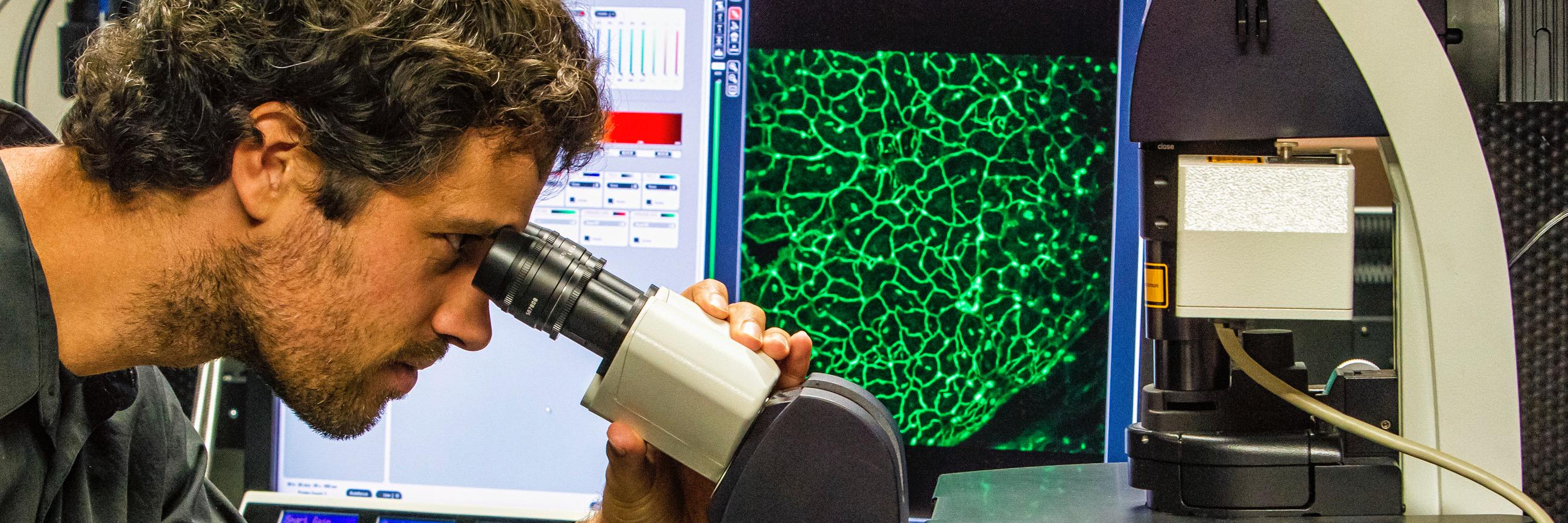 Beckman Laser Inst. banner