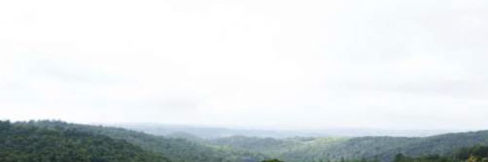 mmakoko's profile banner image