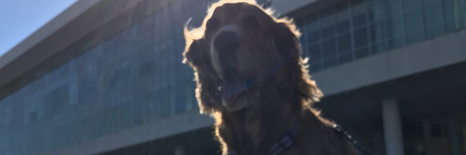 dafsl's profile banner image