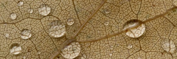 andras_ks Profile Banner