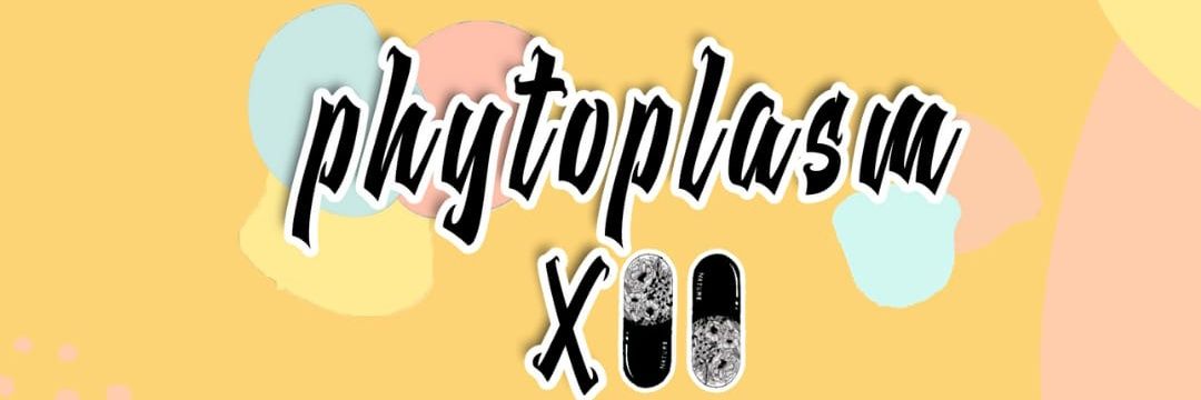 phytoplasmXII's profile banner image