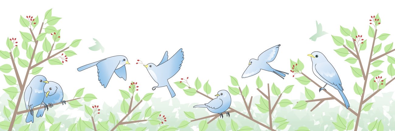 header image