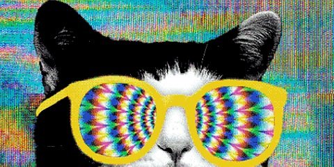 suk_mak's profile banner image